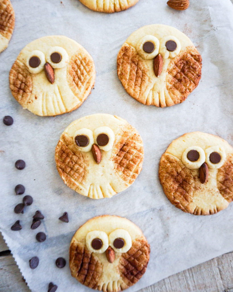 owl cookies on cookie sheet
