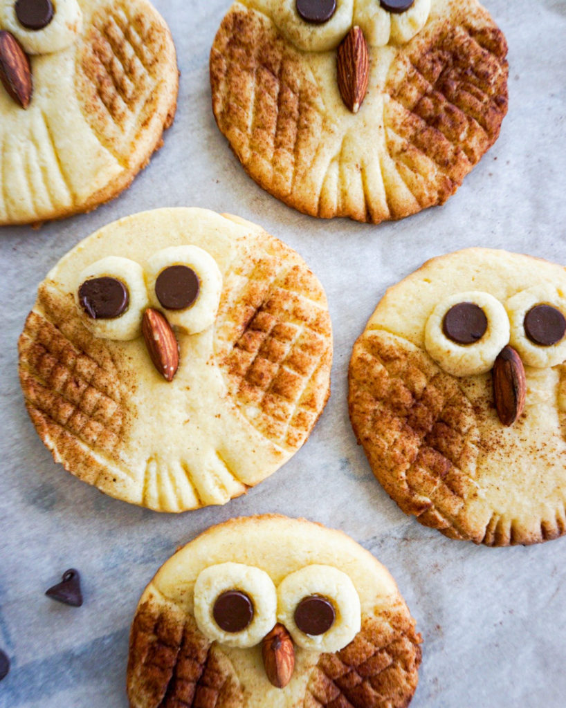 close up owl cookies