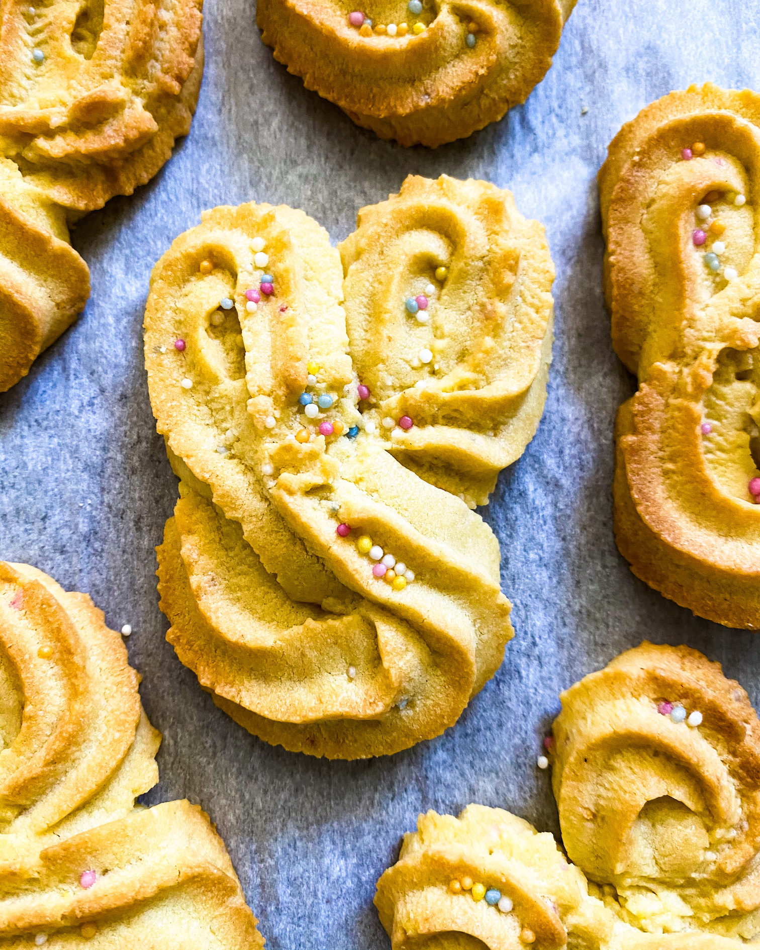 close up shortbread cookie